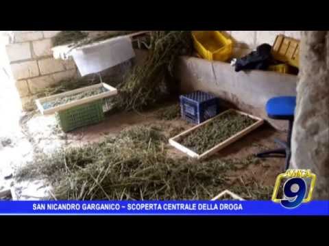 San Nicandro Garganico | Scoperta la centrale della droga