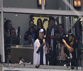 Bill Murray Daffy Duck