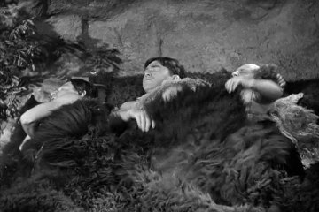 The Three Stooges - S 15 E 7 - I'm a Monkey's Uncle