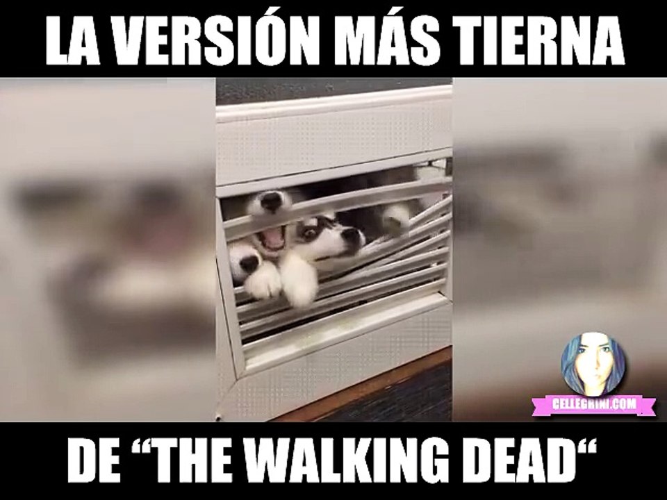 version tierna de walking dead