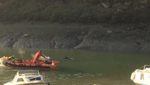 Deux dauphins secourus par les pompiers dans le port du Légué