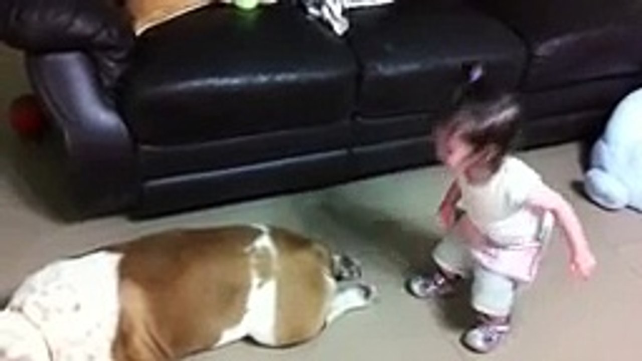 Hili & Boss 2(English bulldog and a baby)