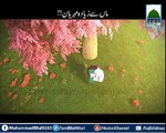 Islamic short clips-Respect of his mother-Rizvi networks