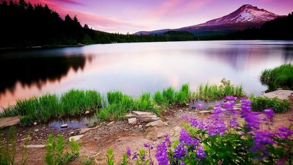 Sleeping Music, Calming, Music for Stress Relief, Relaxation Music, 30 Minute Sleep Music, ✿2016