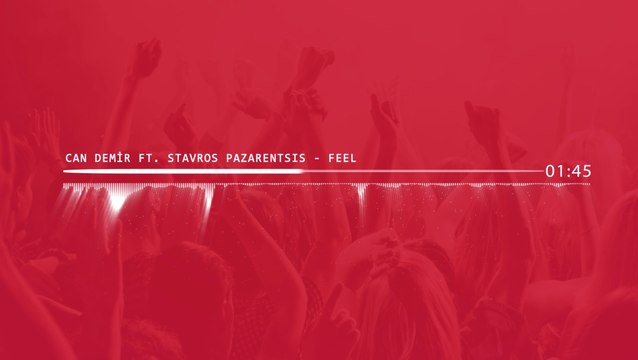 Can Demir Ft. Stavros Pazarentsis - Feel (Remix - 2016)