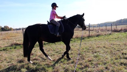 rose et xs 1er galop en longe