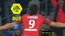 But Edinson CAVANI (65ème) / LOSC - Paris Saint-Germain - (0-1) - (LOSC-PARIS) / 2016-17