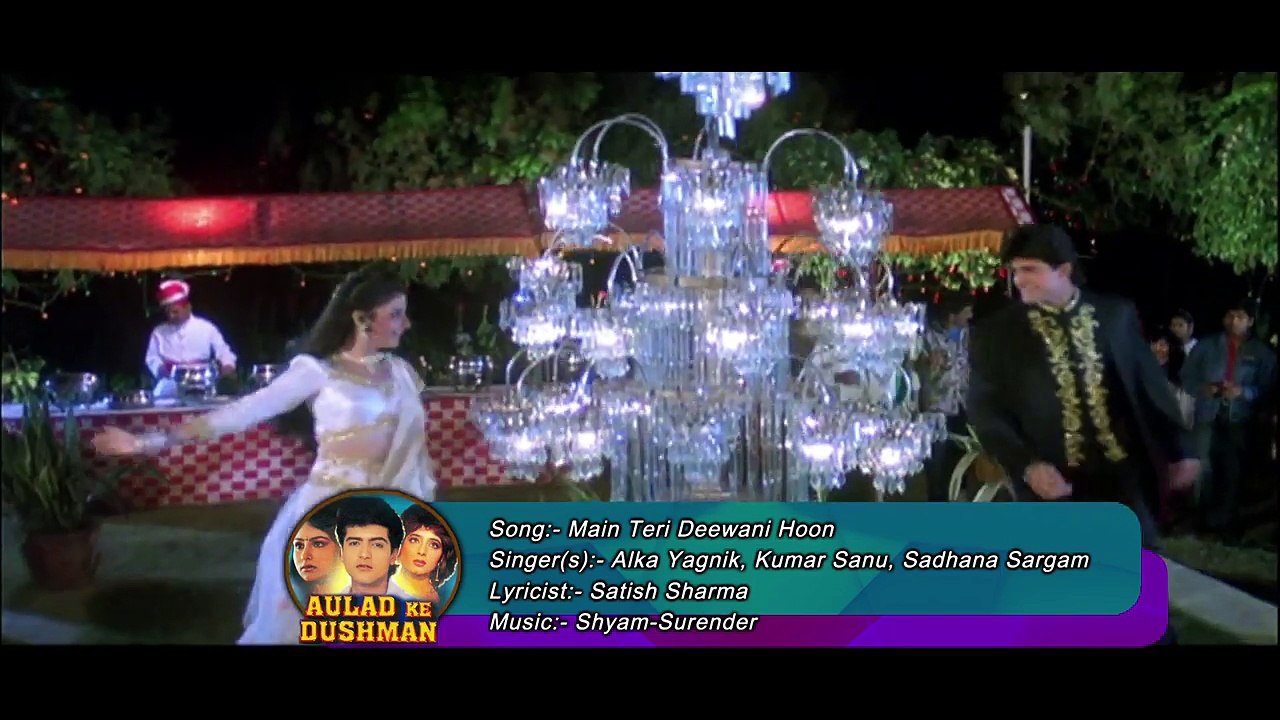 Main Teri Deewani Hoon _ Alka Yagnik, Kumar Sanu, Sadhana Sargam_ Aulad Ke Dushman 1993 Songs _