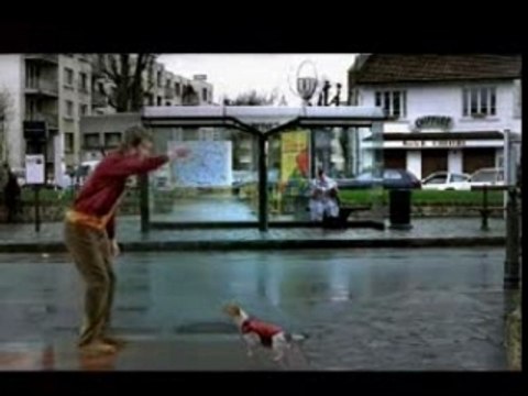 ball hund lustig fun witzig funy