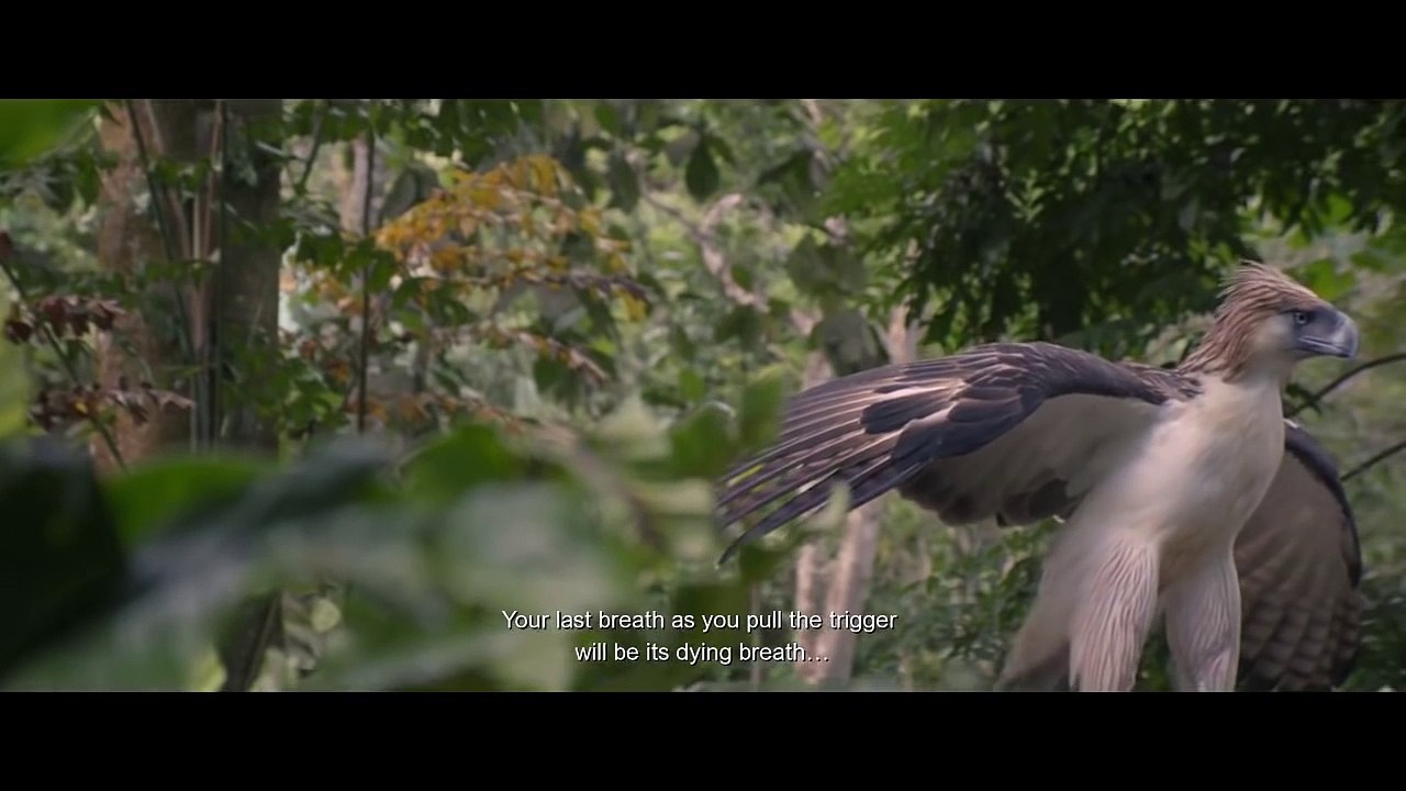 BIRDSHOT (2016) Official Trailer