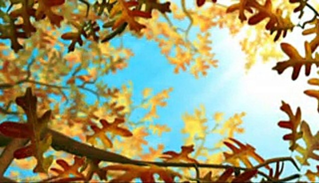 Hermie-Dividir ou Nao Dividir