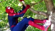 Spiderman vs Joker vs Catwoman! Real Life Superhero Battle Movie
