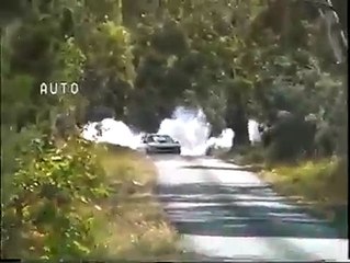 How to kill all the mosquitos in the neighborhood.