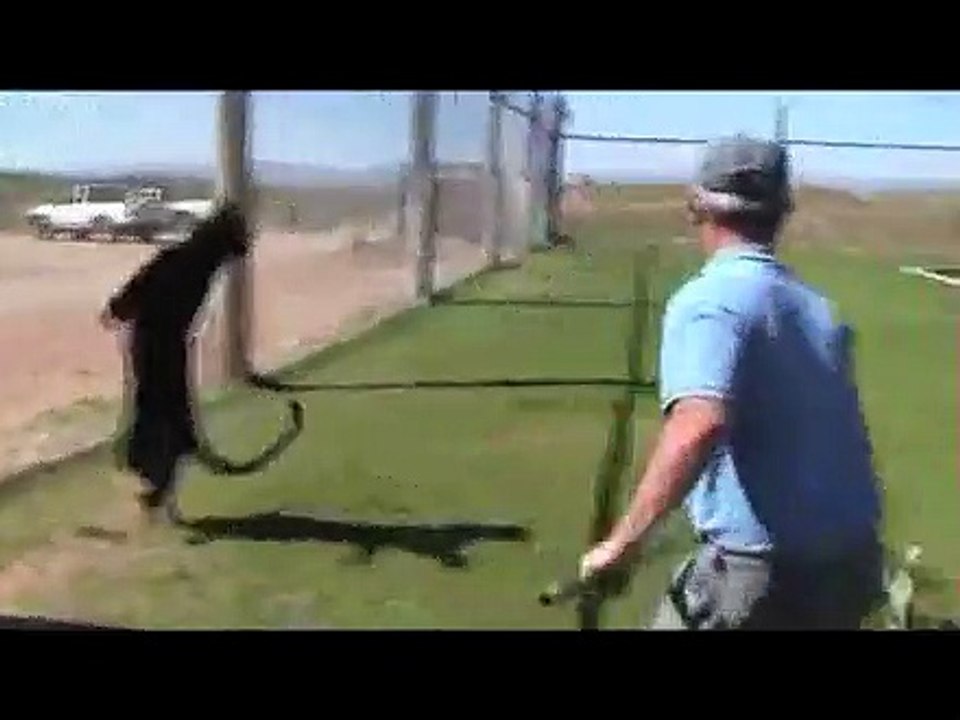 tehlıkelı hareketler