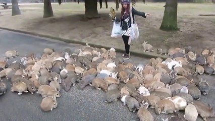 Tavşanlı köyün kavalcısı :)