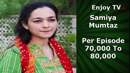 Real Salary Of The Actors Of Udaari