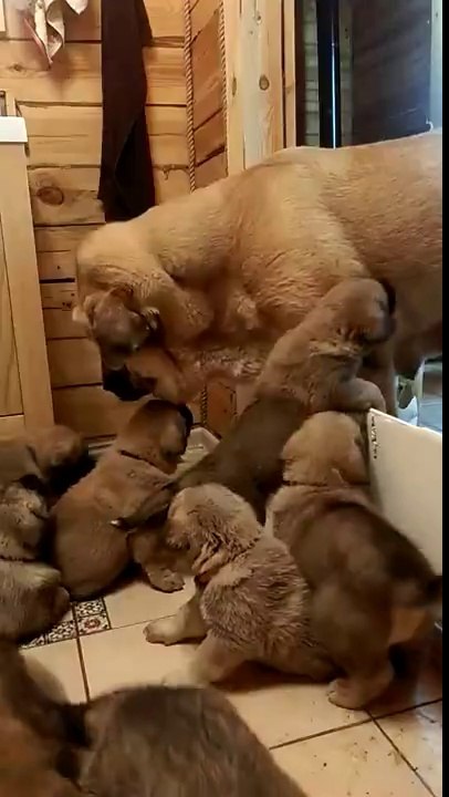 Şunların Şekerliğine Bakarmısınız ya :)