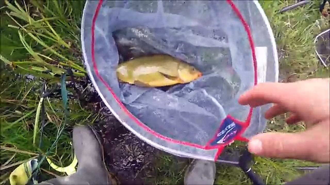 Pêche au coup brasem brème plaquette tanche gardons gros poissons amorce top