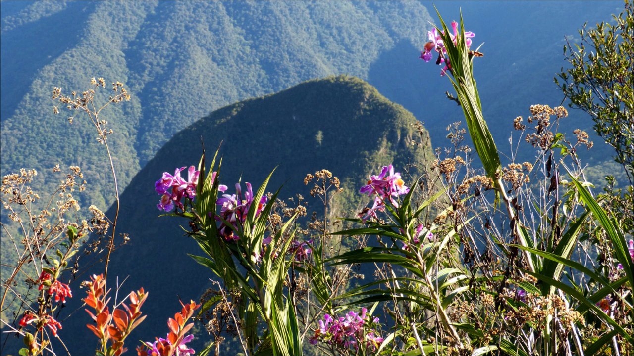 01 - PEROU - MACHU PICCHU
