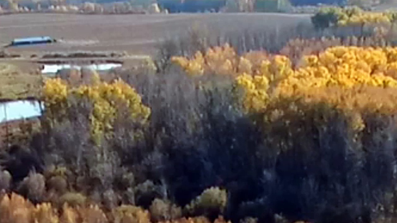 Object came from behind the trees and changed direction and rolled past my drone, Parkland County - Hasse L-10.10.2016.