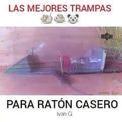 trampas para raton