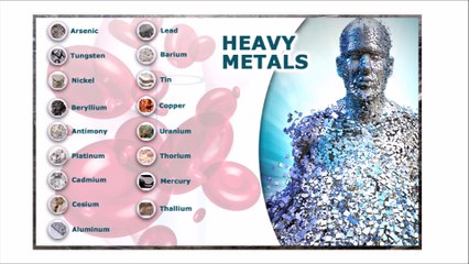 Huntington's Disease and Mercury Pollutio