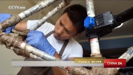 bikes from bamboo, ride one 2,500km to Lhasa