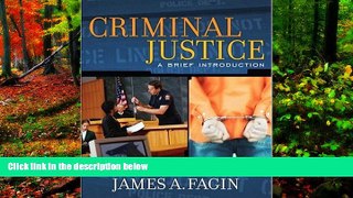 Big Deals  Criminal Justice: A Brief Introduction  Full Read Best Seller