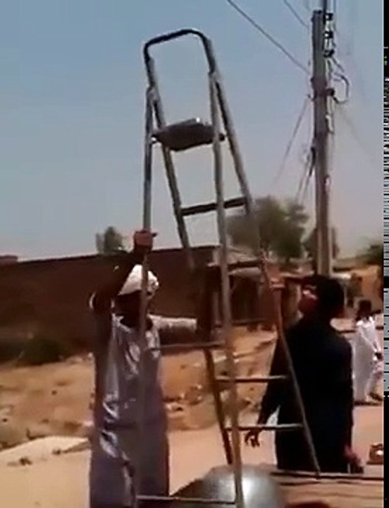 کبوترکے شوقین دیکھیں - YouTube