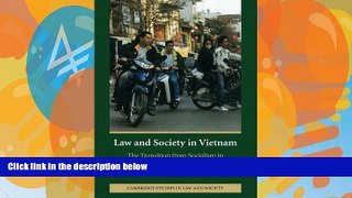 Big Deals  Law and Society in Vietnam: The Transition from Socialism in Comparative Perspective