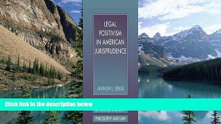 Big Deals  Legal Positivism in American Jurisprudence (Cambridge Studies in Philosophy and Law)