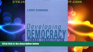 Big Deals  Developing Democracy: Toward Consolidation  Full Read Best Seller