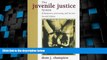 Big Deals  Juvenile Justice System, The: Delinquency, Processing, and the Law  Best Seller Books