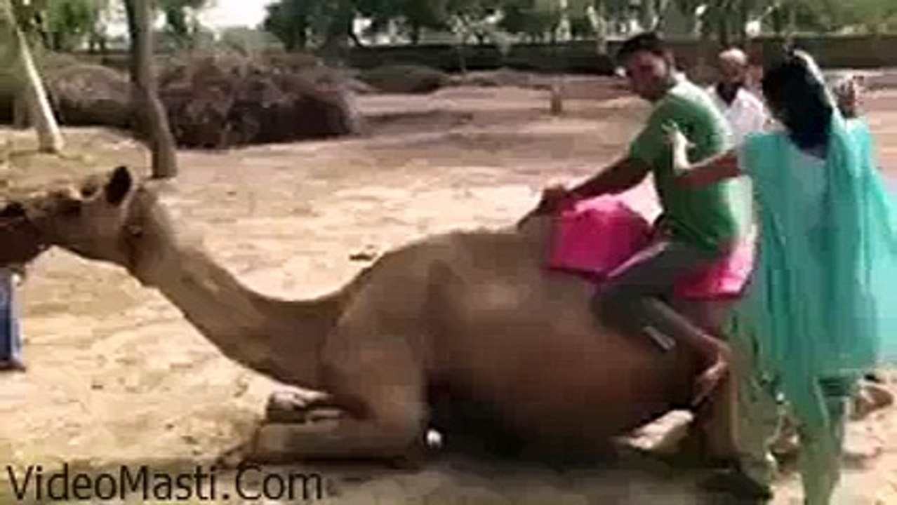 Watch Funny Video