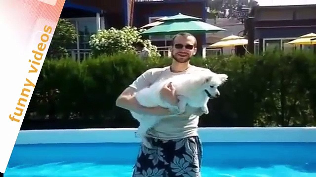 funny puppy videos-funny cats