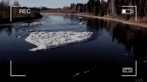 Ice monster or Loch Ness monster’s icy cousin spotted in Alaskan river spurs wild theories