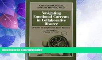 Big Deals  Navigating Emotional Currents in Collaborative Divorce: A Guide to Enlightened Team