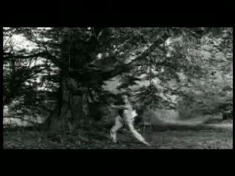 Elmer food beat - Le plastique c'est fantastique (clip)