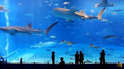 хорошый клубняк