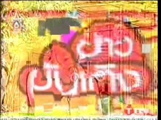 Oak - TITV News 21.08.2007