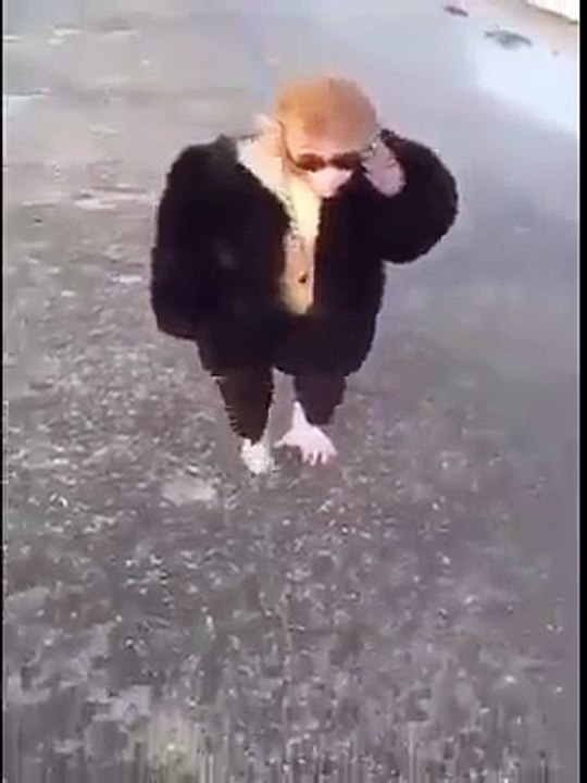 odos tenemos un amigo así