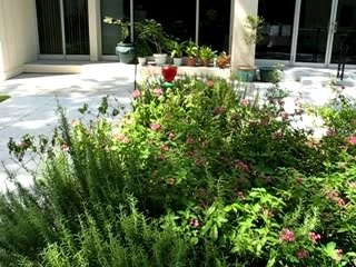 the senior residence garden, with gardner