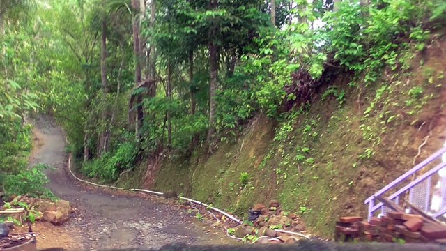 Jalan Klesem (Kaligono) - Video 00034