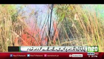 LIVE From Bani Gala Islamabad - PTI VS GOVT - Neo News