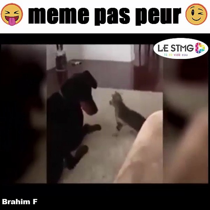 meme pas peur