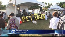 Community raises $280,000 for Oahu's animals in annual Pet Walk