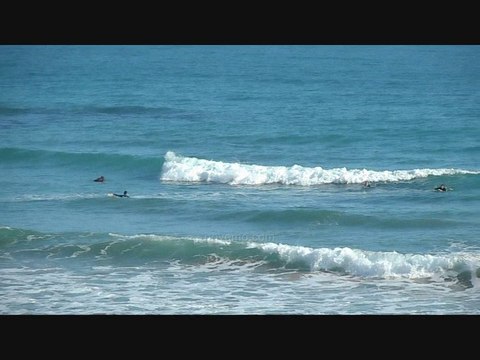 Location Vacances appartement Vieux Boucau les Bains Plage un bon plan bon coin Juin Juillet Août Septembre