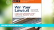 Big Deals  Win Your Lawsuit: A Judge s Guide to Representing Yourself in California Superior