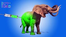 Learning Colors Injection Elephant | Elephant Colours for Kids | Learning Colours with Garden Kids