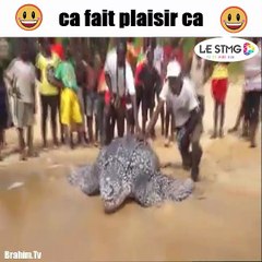 ca fait plaisir ca